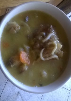 A picture of Soup with bones.