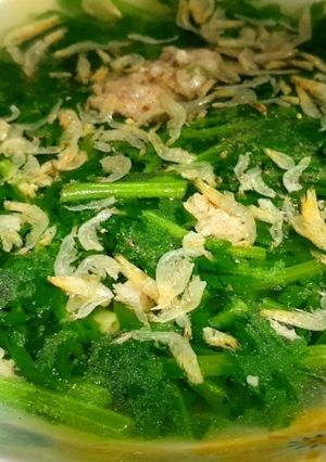 Hình của món Canh tần ô thịt xay tép khô.