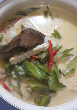 Foto resep Lodeh cipir