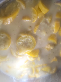 A picture of Sweet Boiled Squash.