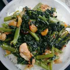รูปของ ผัดผักบุ้งไก่