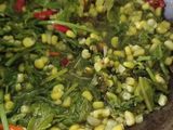 Tumis Pakis Jagung