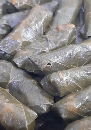Una foto de Niños envueltos de parra