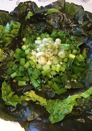 Une photo de Laitue rougette aux petits oignons blancs et herbes aromatiques