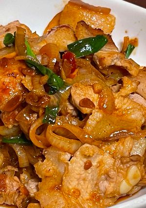 豆瓣洋蔥五花肉 的食譜成品照片