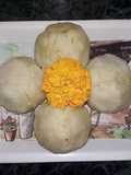 Manda pitha