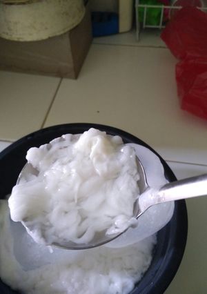 Foto resep Kopyor sintetis