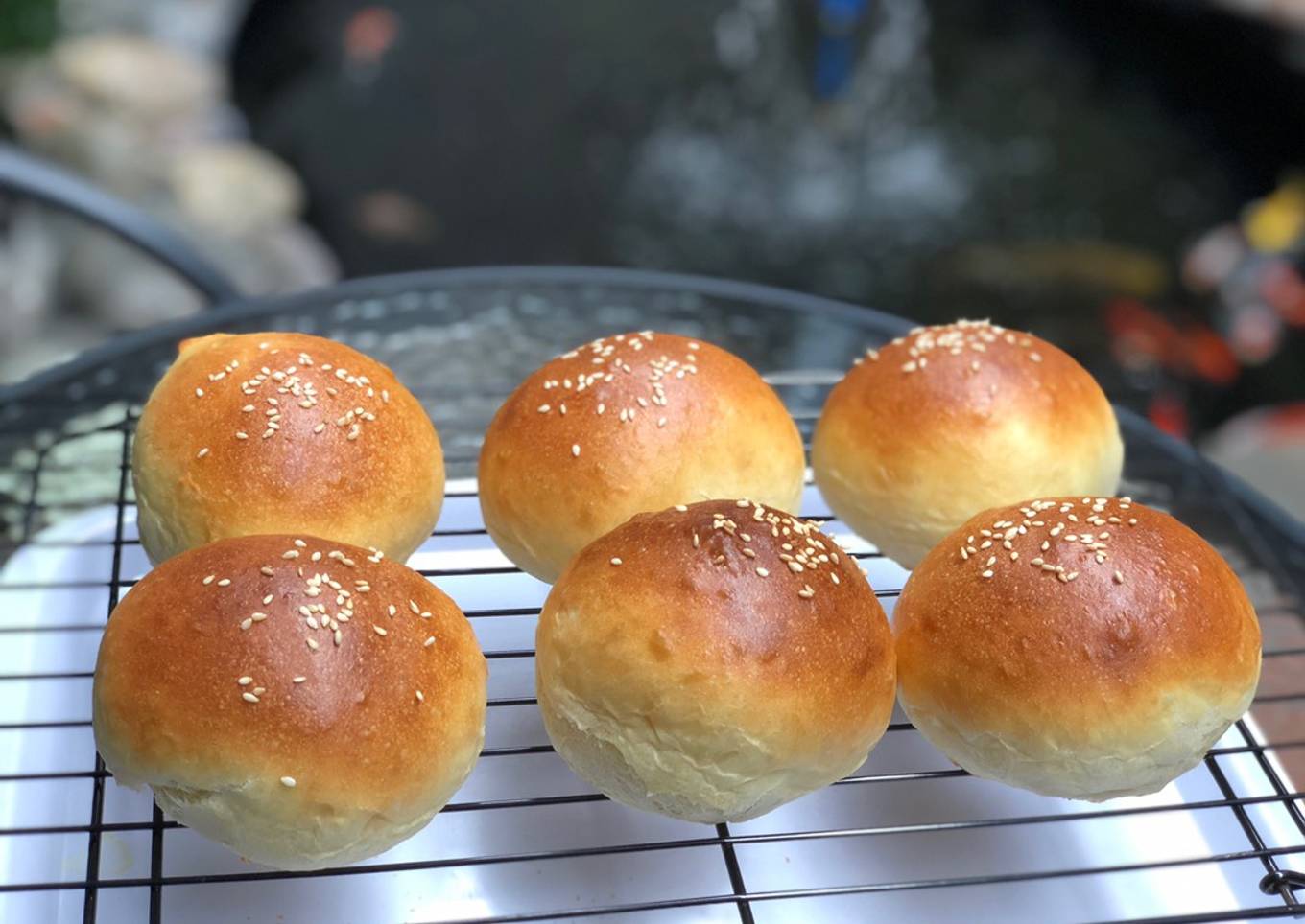 Burger bun homemade mudah dan praktis / overnight kalis tanpa ulen