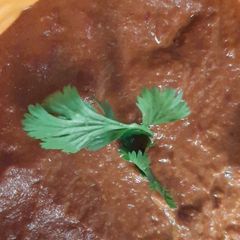 Red chilli tomato chutney A picture of Red chilli tomato chutney.