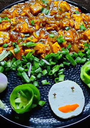 A picture of Chilli paneer semi gravy.