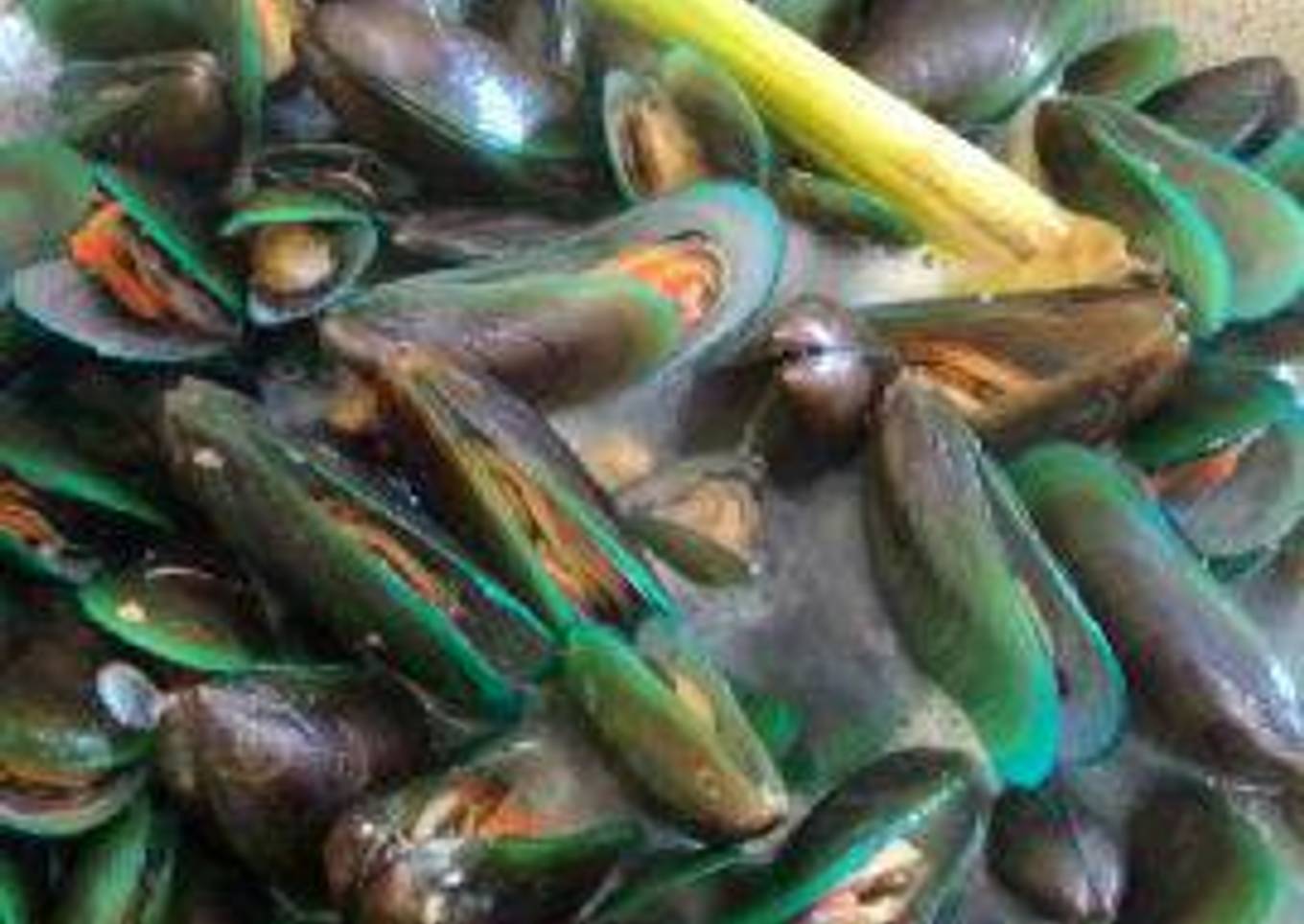Tumis Kerang hijau rebus