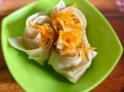 Gambar siomay kulit pangsit