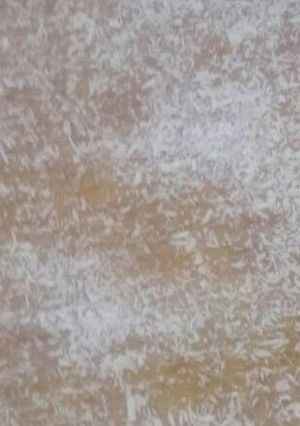 صورة لوصفة بسطة جوز الهند