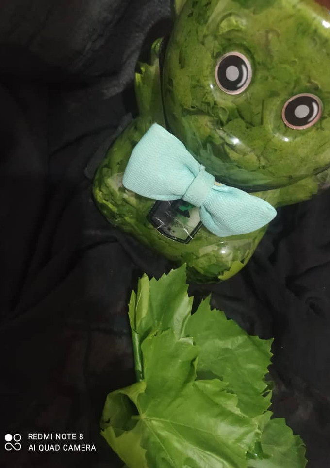 عکسی از دستور نگهداری برگ مو واسه زمستون🍀🍁