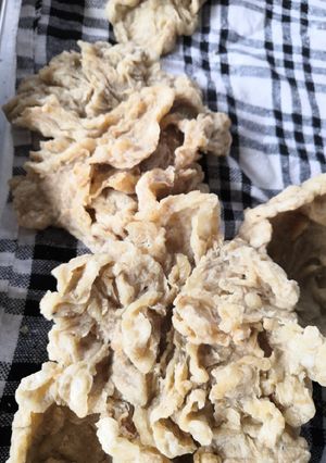 Foto resep Resep Pempek Crispy Ala Pempek Naya 313 Palembang