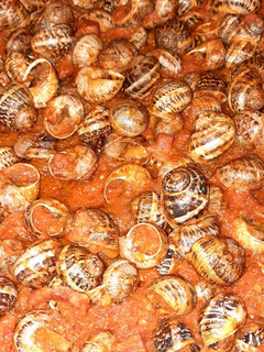 Una foto de Caracoles salsa picantita