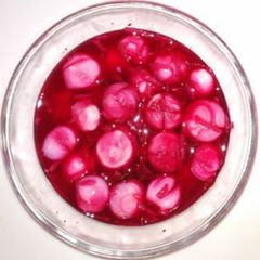 A picture of Vinegar Onions.