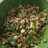 Terancam sayur komplit khas Bangil