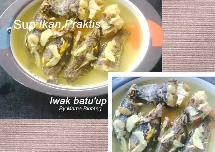 Sup Ikan Praktis