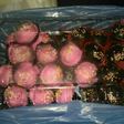 Bola bola biskuit lapis coklat (praktis, hemat)