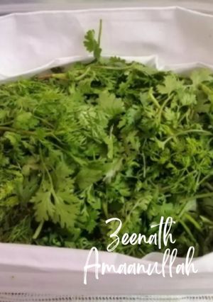 A picture of Freshness loaded Green Masala.