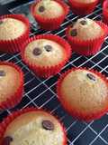 Mantecadas con chispas de chocolate