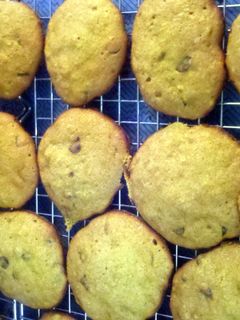 A picture of Pumpkin Chocolate Chip Cookies.