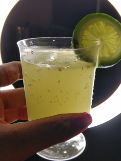 A picture of Mojito.