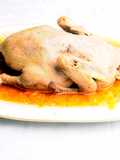 Inebriated Duck