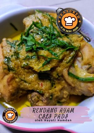 Gambar Rendang Ayam Cili Padi
