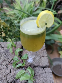 વરીયાળી ફુદીના નું શરબત (Variyali Pudina Sharbat Recipe In Gujarati) રેસીપી મુખ્ય ફોટો