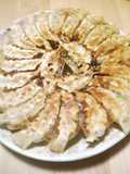Our Signature Veggie-Packed Gyoza