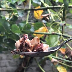 A picture of Special almonds.
