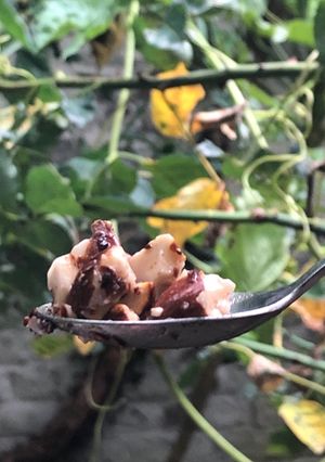 A picture of Special almonds.