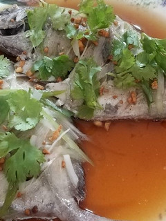 Foto resep Tim ikan ala hongkong
