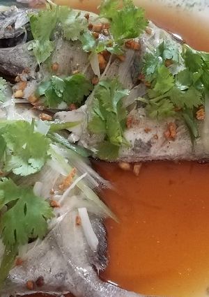 Foto resep Tim ikan ala hongkong