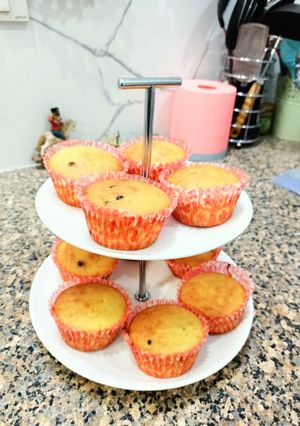 A picture of Butter choco chip cupcakes.