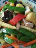 Tumis arcis warna warni