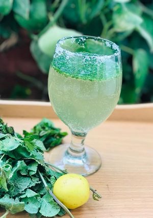 A picture of Mint Margarita.