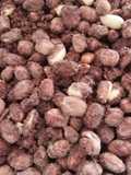 Cricri com canela e nós moscada