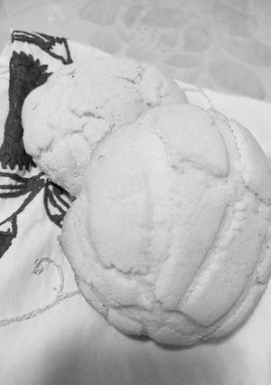 Una foto de Conchas