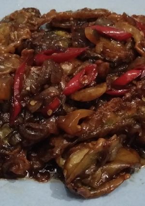 Foto resep 87. Terong Gurdas (gurih pedas)