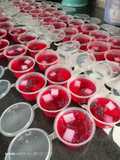 Puding Framboze