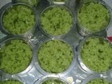 Agar agar lumut santan kara