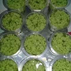 Agar agar lumut santan kara রেসিপির প্রধান ছবি