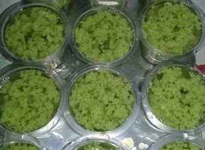 Foto resep Agar agar lumut santan kara