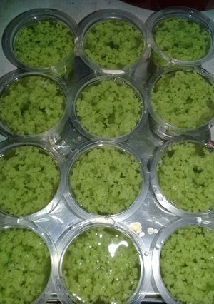 Foto resep Agar agar lumut santan kara