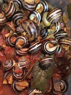Una foto de Caracoles en salsa