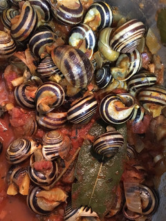 Una foto de Caracoles en salsa