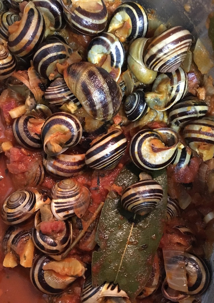 Una foto de Caracoles en salsa